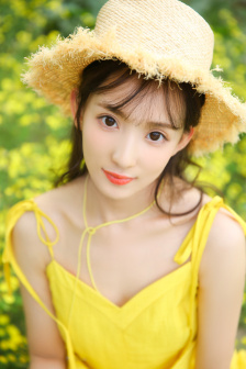 红楼梦H
